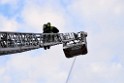 Grossbrand Halle Troisdorf Kriegsdorf Junkersring P077